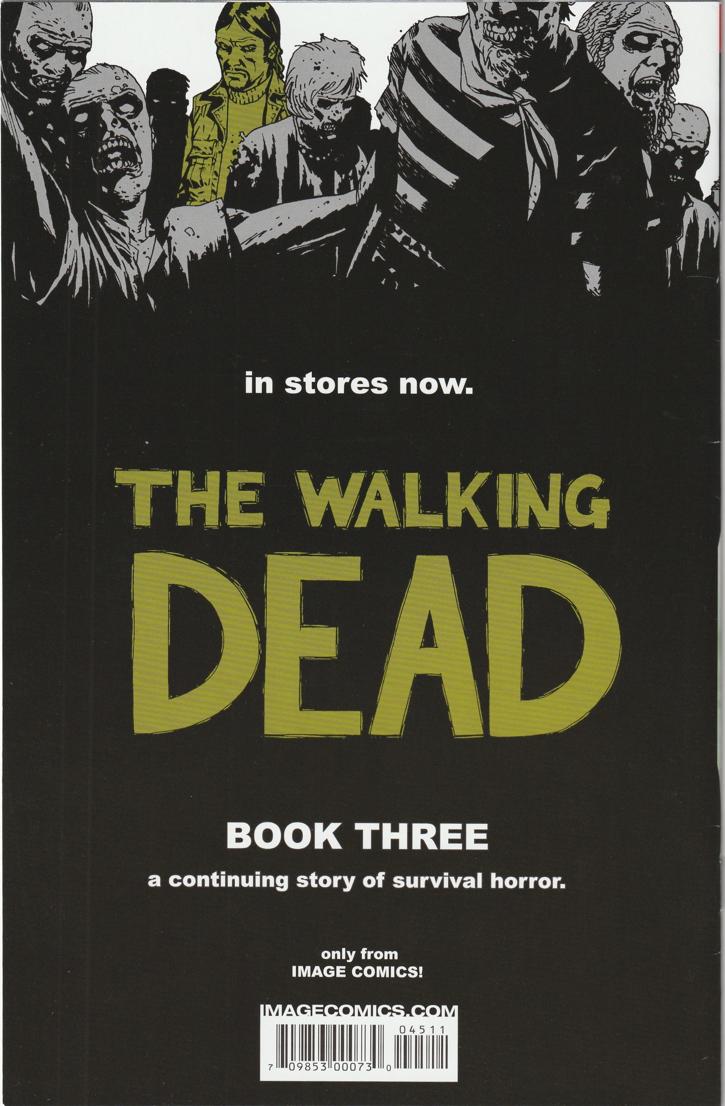 The Walking Dead #45 (2007)