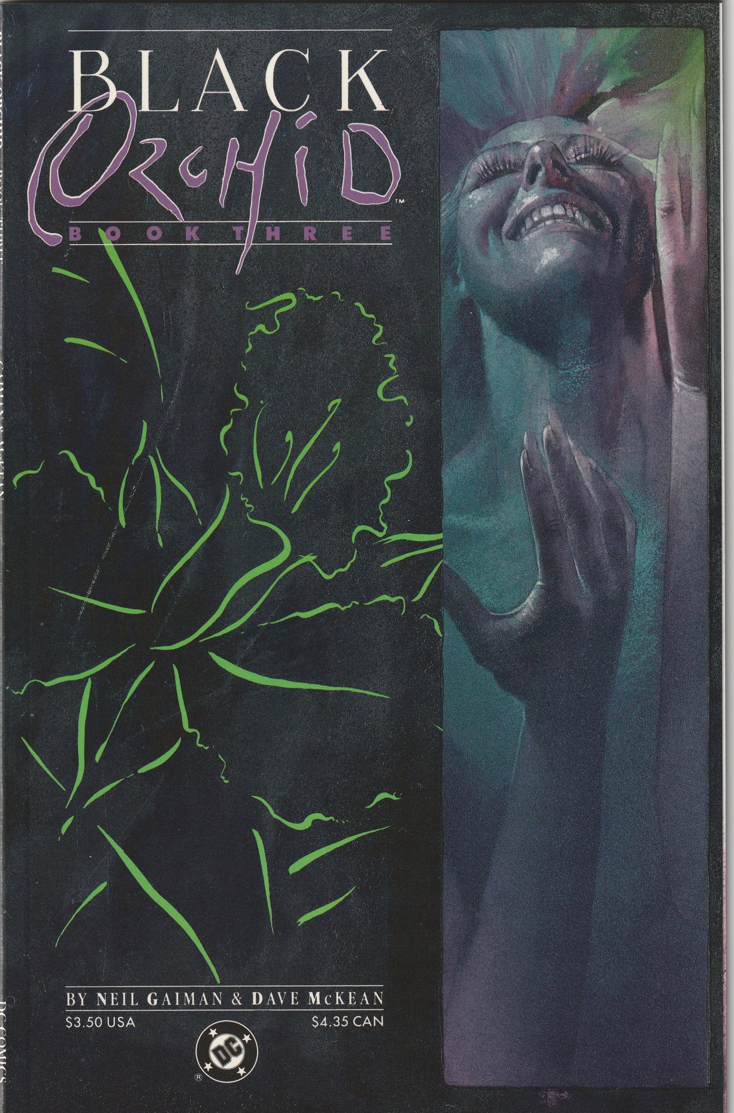 Black Orchid (1988-89) - Complete 3 issue mini-series - 1st Neil Gaiman work!