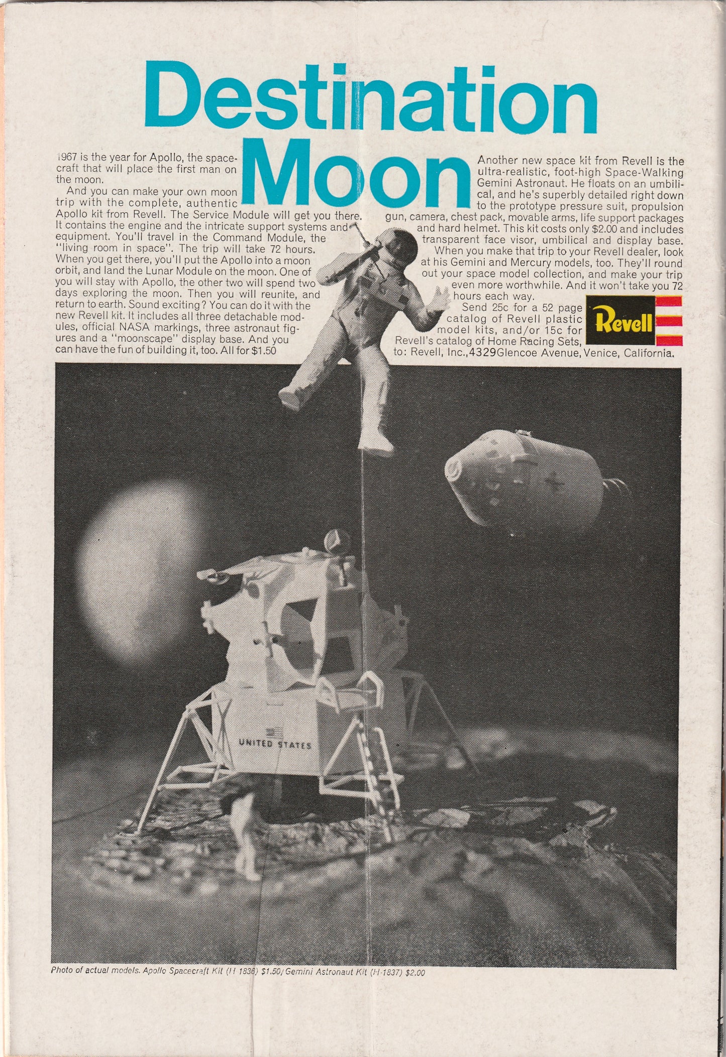 Metamorpho #13 (1967)