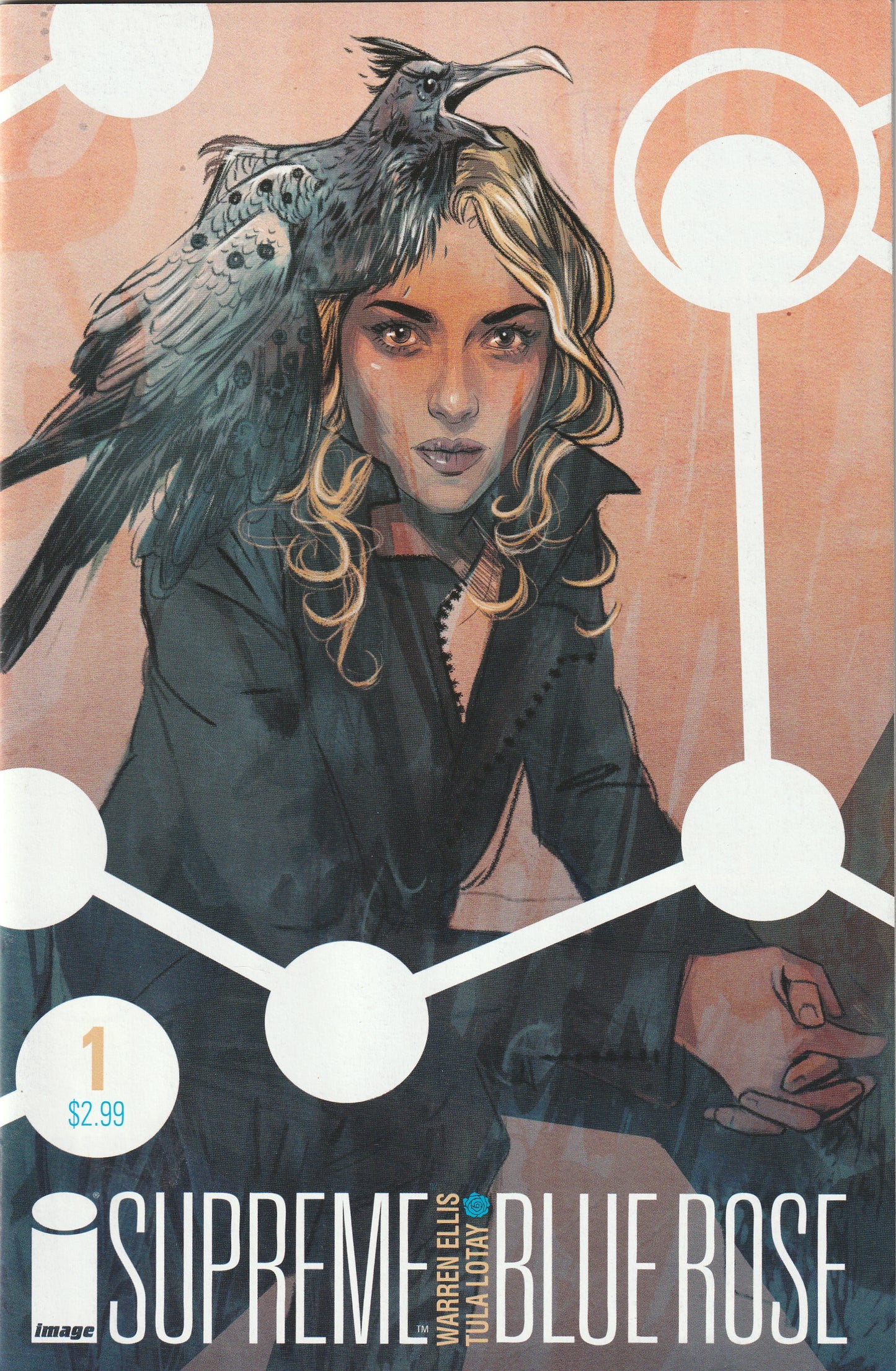 Supreme Blue Rose #1 (2014)