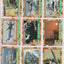 1991 Topps Desert Storm - Complete set + stickers