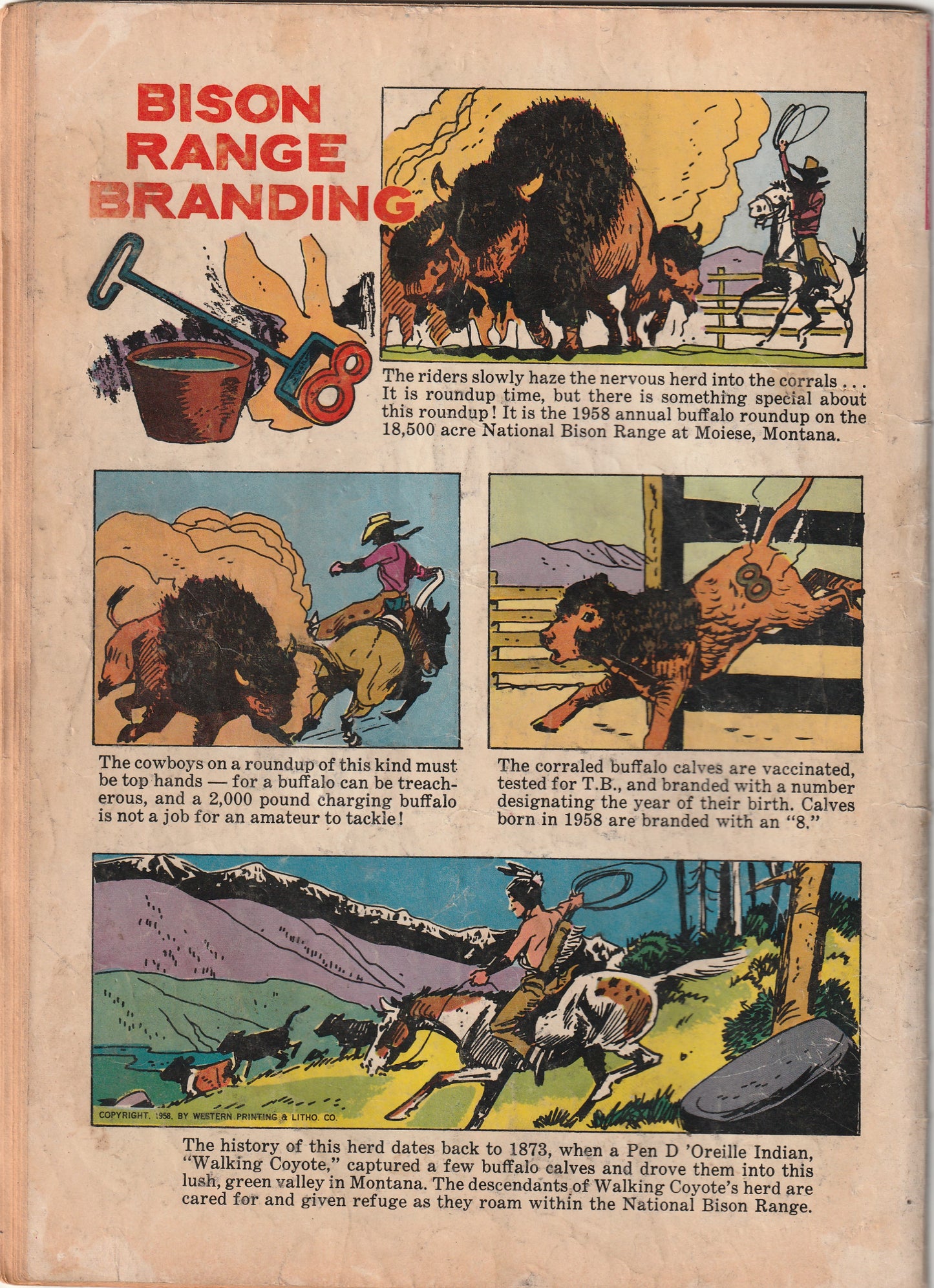 Annie Oakley and Tagg #1 (1965) - Photo cover