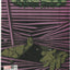 Hulk #5 (LGY #772, 2022) - Jorge Fornes Windows Shades Variant
