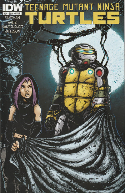 Teenage Mutant Ninja Turtles #34 (2014) - Cover B