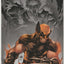 Wolverine #2 (2020) - Adam Kubert Second Printing Variant Cover