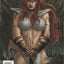 Red Sonja #40 (2008) - Fabiano Neves cover