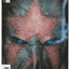 Orchid #3 (2011)