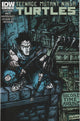 Teenage Mutant Ninja Turtles #45 (2015) - Cover B