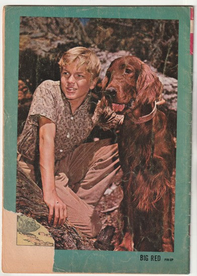 Walt Disney's Big Red (1965) - Photo cover