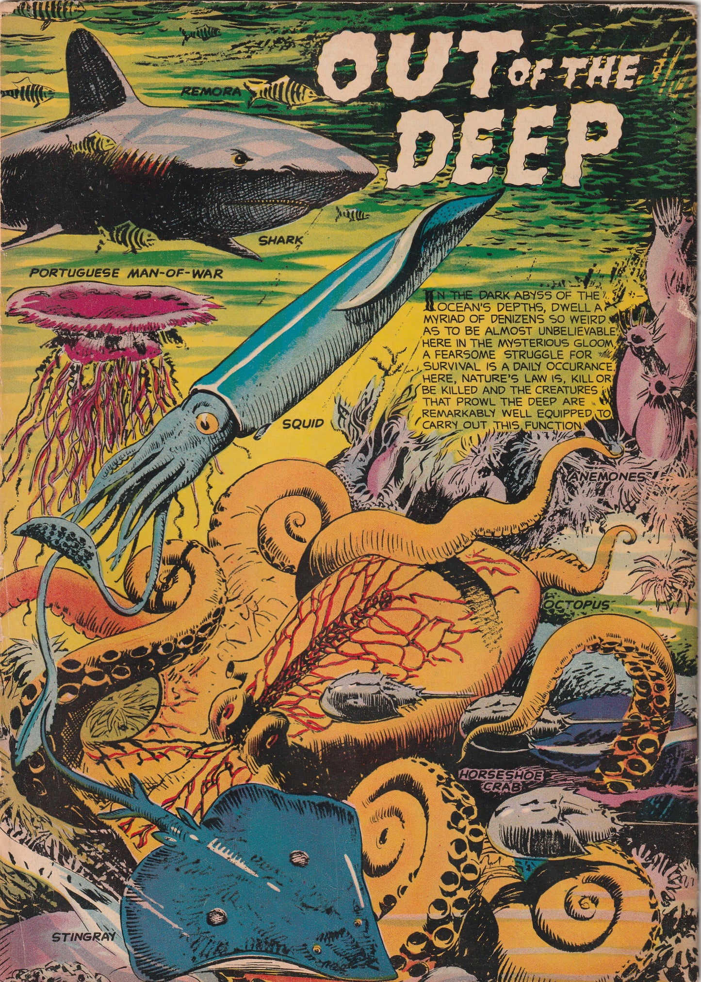 Dell Four Color #1230 (1961) - Voyage to the Bottom of the Sea - Photo cover