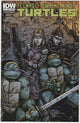 Teenage Mutant Ninja Turtles #19 (2013) - Cover B by Kevin Eastman