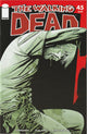 The Walking Dead #45 (2007)