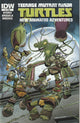 Teenage Mutant Ninja Turtles New Amazing Adventures #2 (2013)
