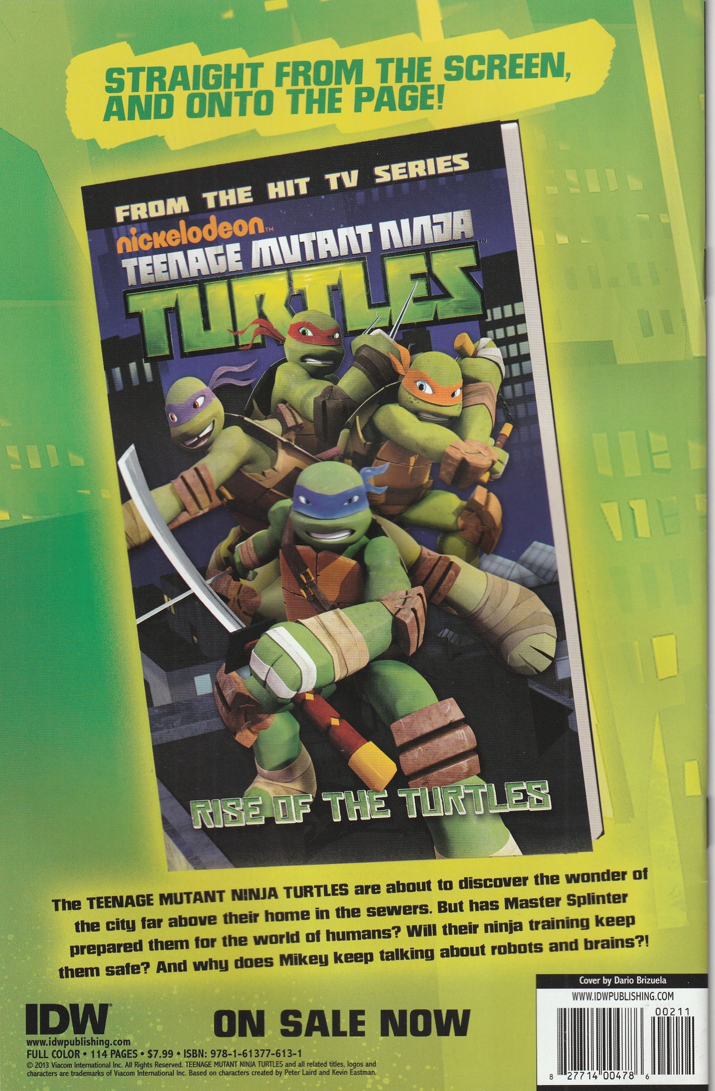 Teenage Mutant Ninja Turtles New Amazing Adventures #2 (2013)