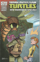 Teenage Mutant Ninja Turtles New Amazing Adventures #14 (2014)