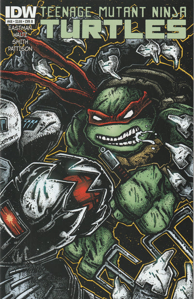 Teenage Mutant Ninja Turtles #48 (2015) - Cover B