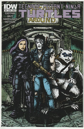 Teenage Mutant Ninja Turtles #46 (2015) - Cover B