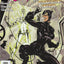 Catwoman #22 (2013) - The New 52