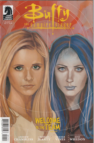 Buffy the Vampire Slayer Season 9 #17 (2013) - Phil Noto Cover