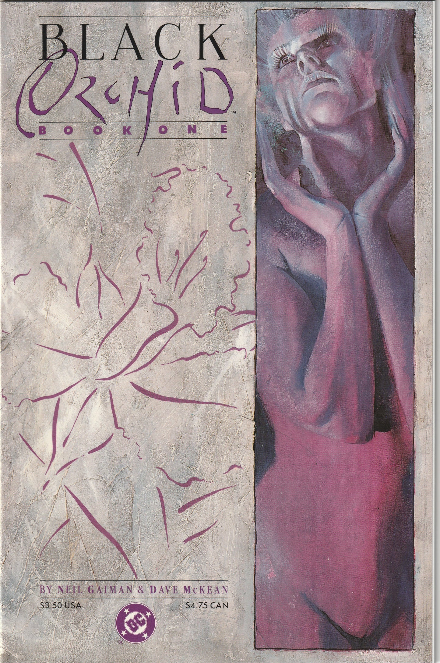 Black Orchid (1988-89) - Complete 3 issue mini-series - 1st Neil Gaiman work!