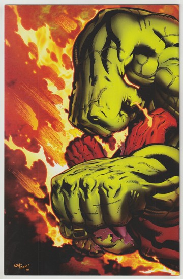 Hulk #24 (2010) - Fall of the Hulks tie-in - wrap cover