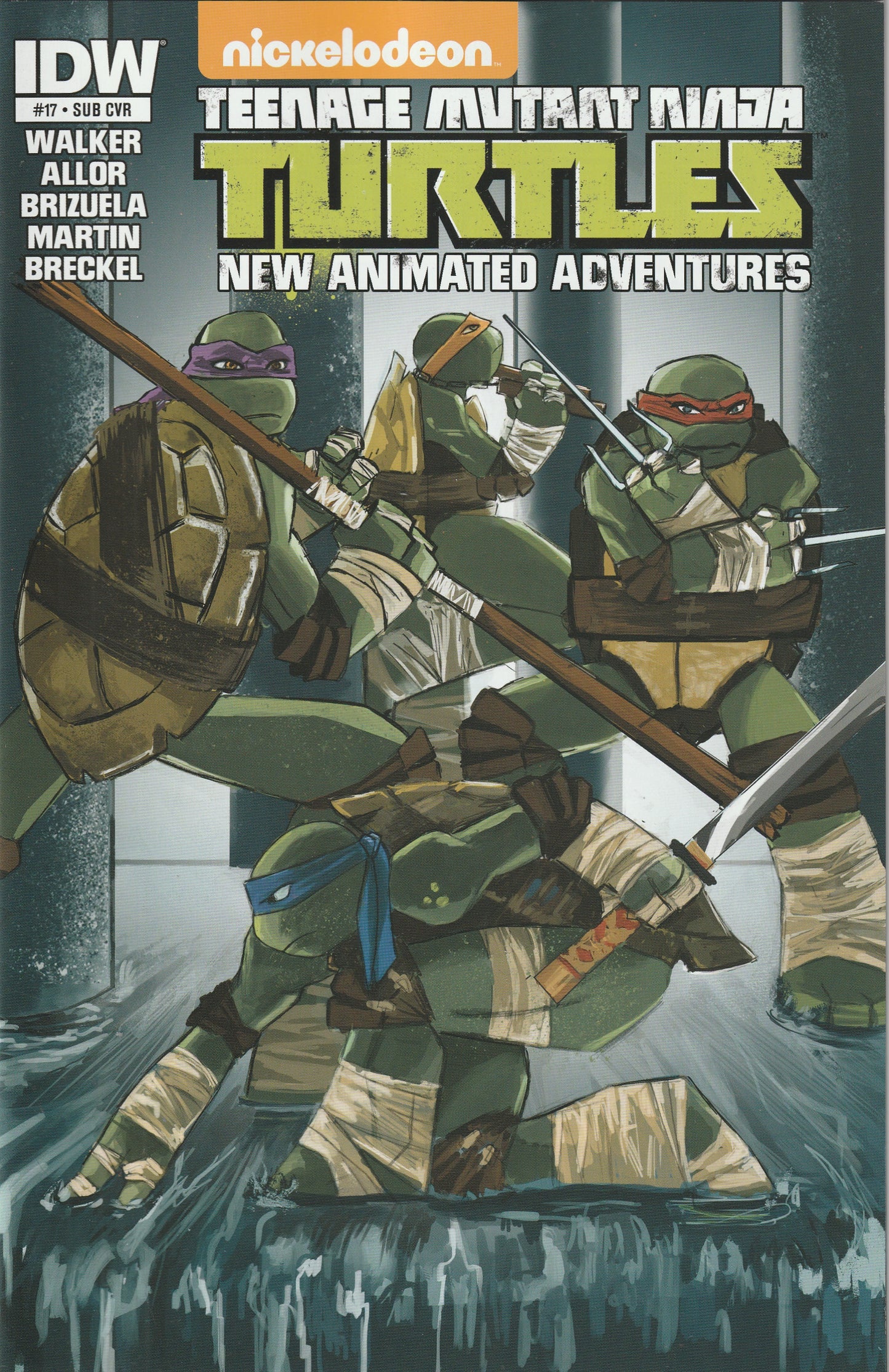 Teenage Mutant Ninja Turtles New Animated Adventures #17 (2014) - Tanna Tucker Subscription Variant Cover