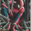 Amazing Spider-Man (Volume 3) #1 (2014) - Gary Choo Variant