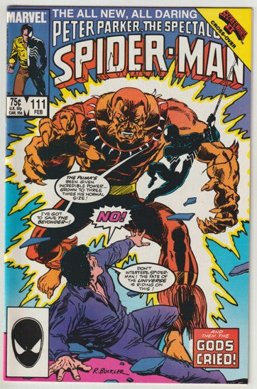 Peter Parker The Spectacular Spider-Man #111 (1986)
