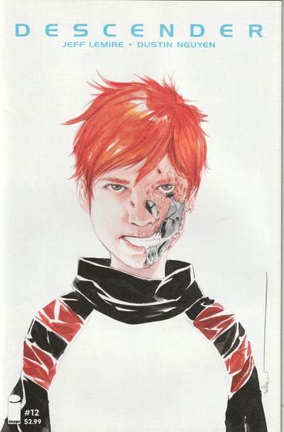 Descender #12 (2016)