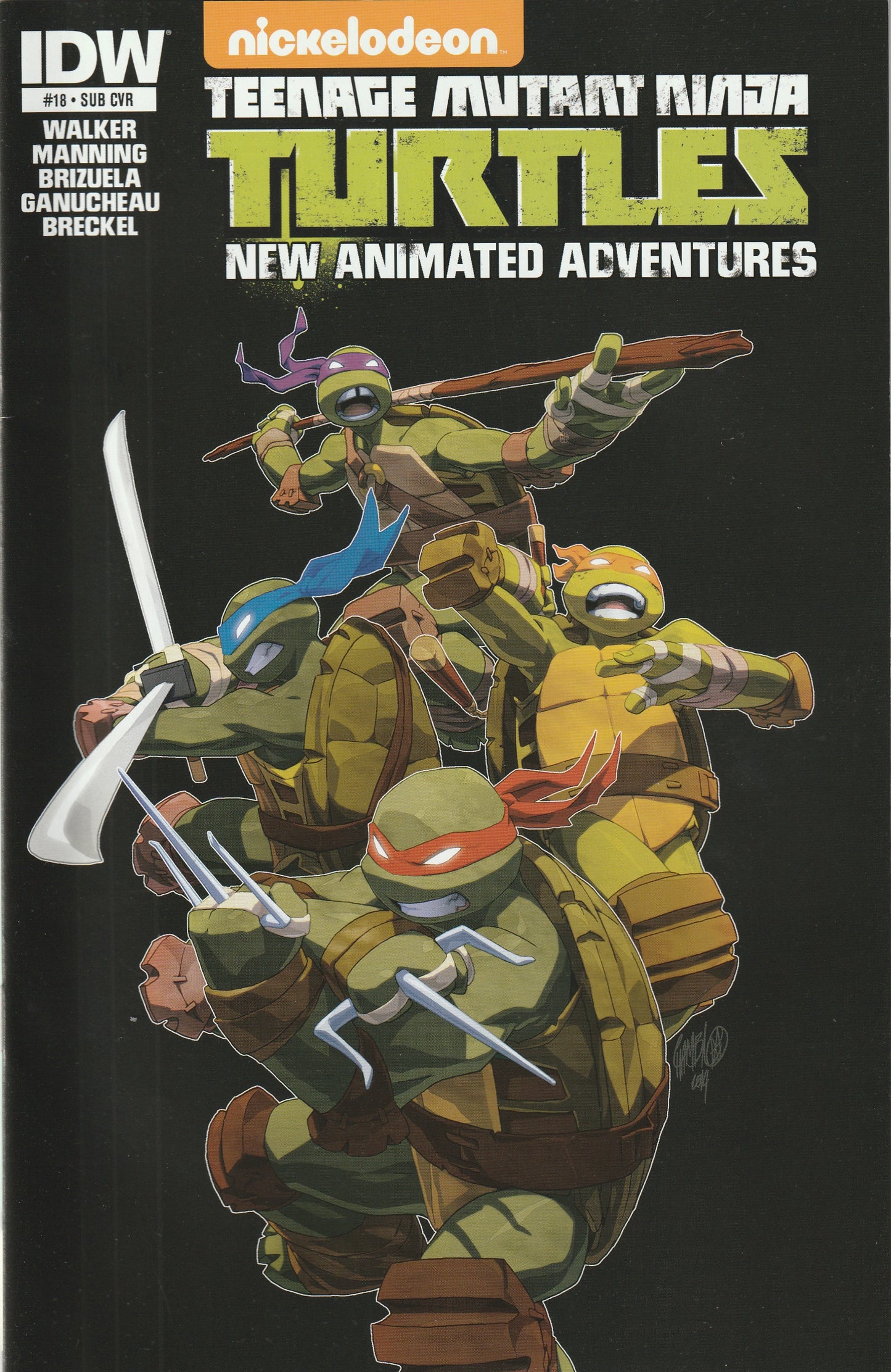 Teenage Mutant Ninja Turtles New Animated Adventures #18 (2014) - Dario Brizuela Subscription Variant Cover