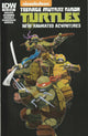 Teenage Mutant Ninja Turtles New Animated Adventures #18 (2014) - Dario Brizuela Subscription Variant Cover