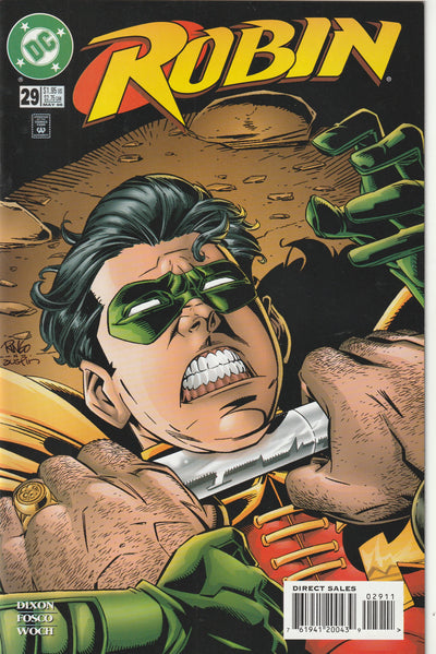 Robin #29 (1996)