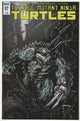 Teenage Mutant Ninja Turtles #67 (2017) - Subscription Cover