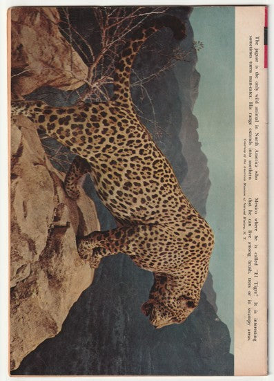 Lone Ranger #4 (1966) - Painted cover