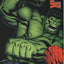 Hulk #6 (2008) - Green Hulk Connecting Variant cover