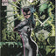 Catwoman Annual #2 (1995) - Year One