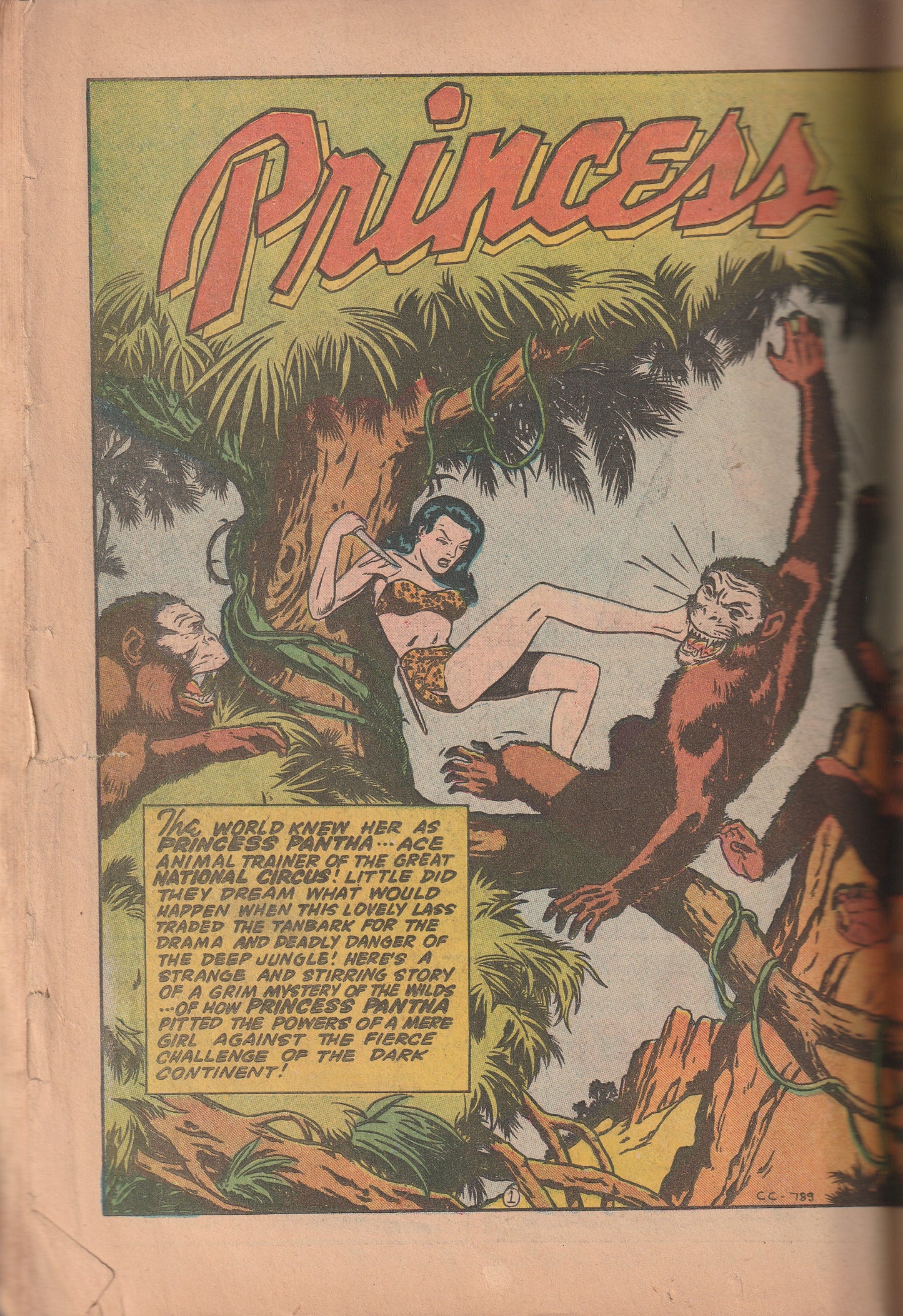 Thrilling Comics #56 (1946) - 1st appearance Princess Pantha, story begins, Alex Schomburg cover