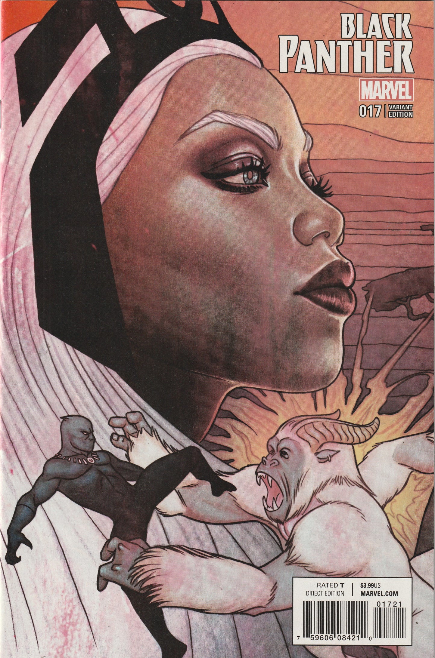 Black Panther #17 (2017) - Jenny Frison Connecting Variant Cover A