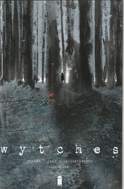 Wytches #1 (2014)