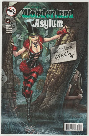 Grimm Fairy Tales Presents Wonderland: Asylum #3 (2014) - Cover A Abhishek Malsuni
