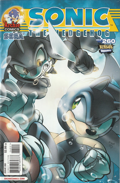 Sonic the Hedgehog #260 (2014) - Evan Stanley Sonic Versus Variant Cover