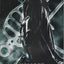 Catwoman #27 (2004) - Ed Brubaker