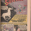 Action Comics #293 (1962) - Origin of Comet the Superhorse