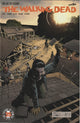 The Walking Dead #172 (2017)