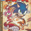 Sonic Book #11 (2015)
