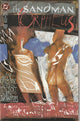 Sandman Special #1 (1991) - 1st Appearance of Destruction of the Endless