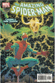 Amazing Spider-Man #504 (2004)