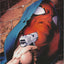Ben Reilly: The Scarlet Spider #2 (2017)