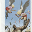 Proof #11 (2008)